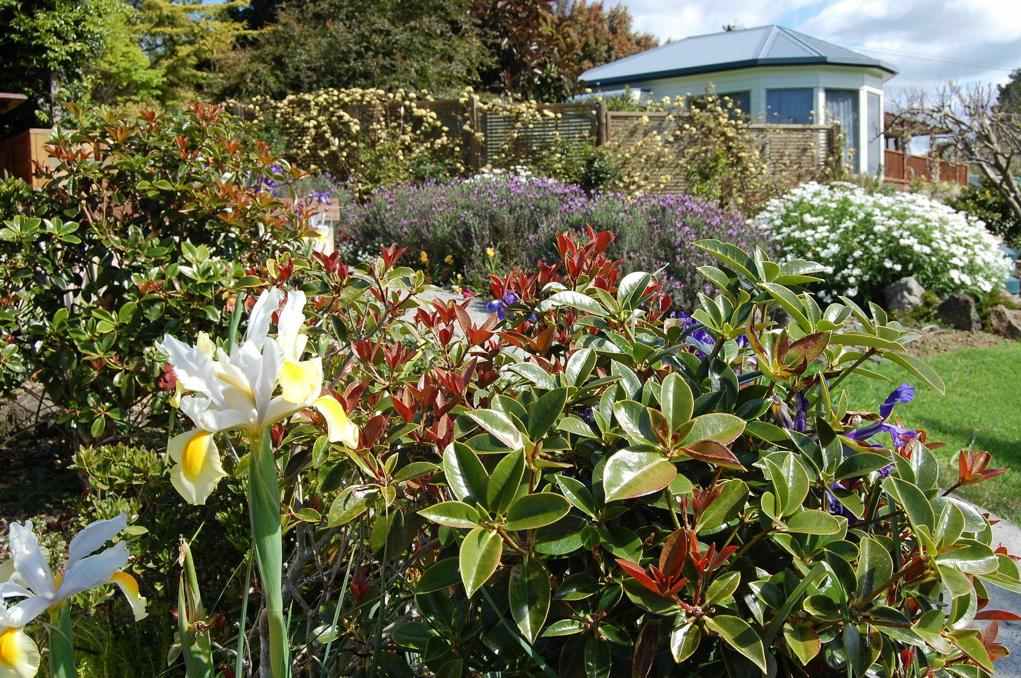 Te Awa Lodge ไปเฮีย ภายนอก รูปภาพ
