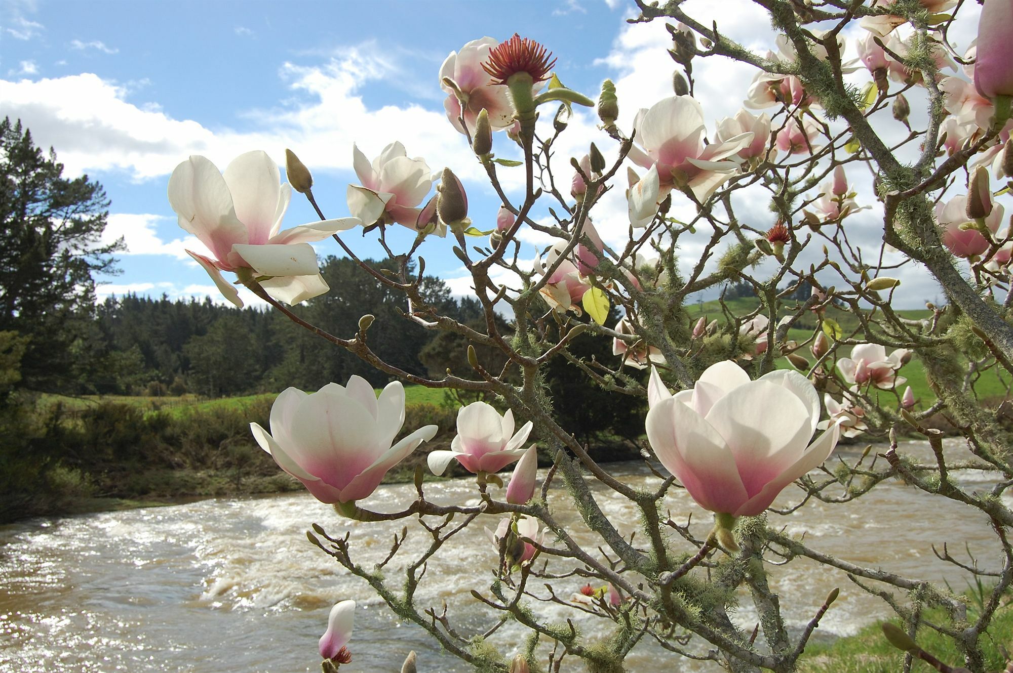 Te Awa Lodge ไปเฮีย ภายนอก รูปภาพ