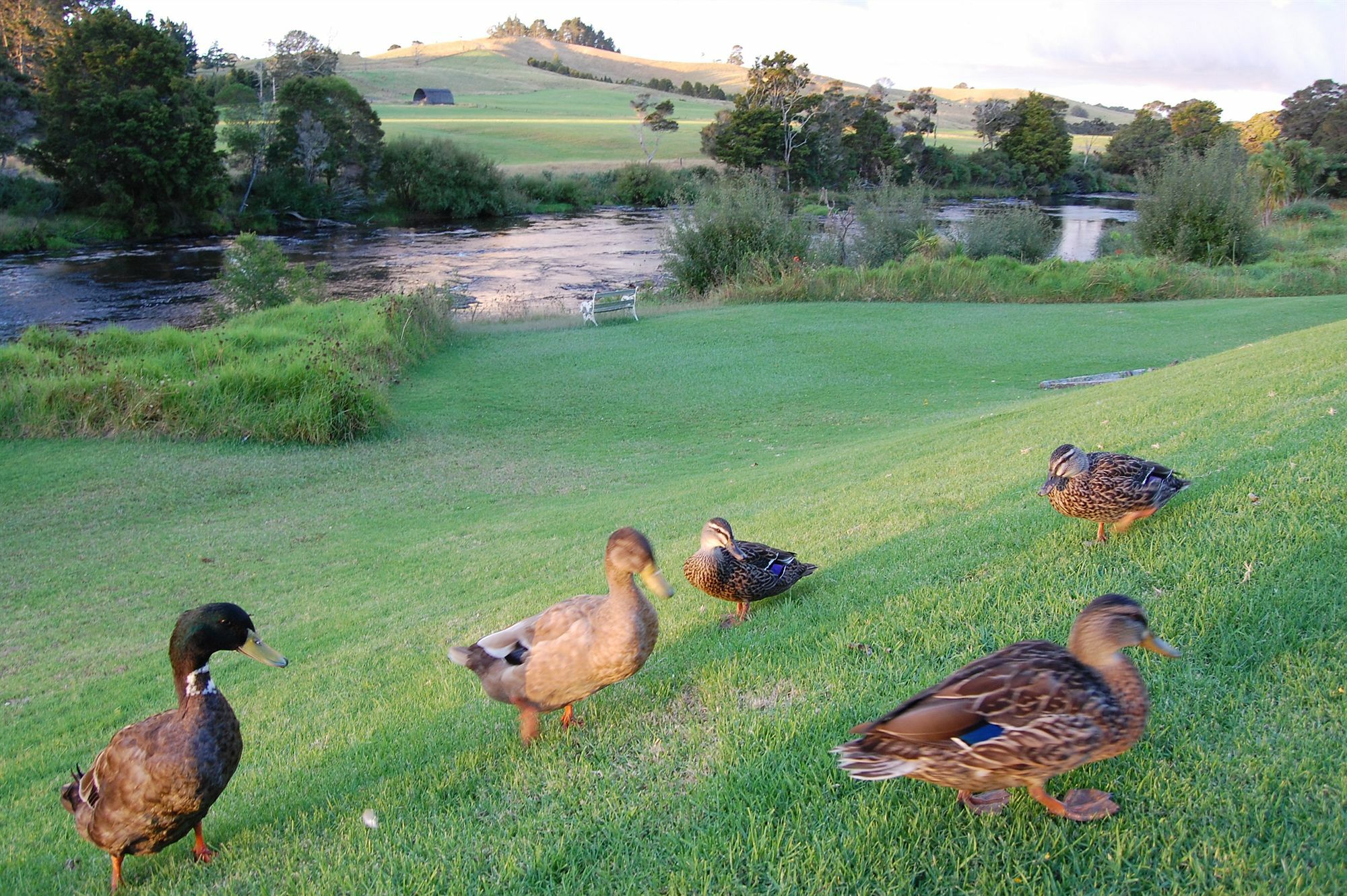 Te Awa Lodge ไปเฮีย ภายนอก รูปภาพ