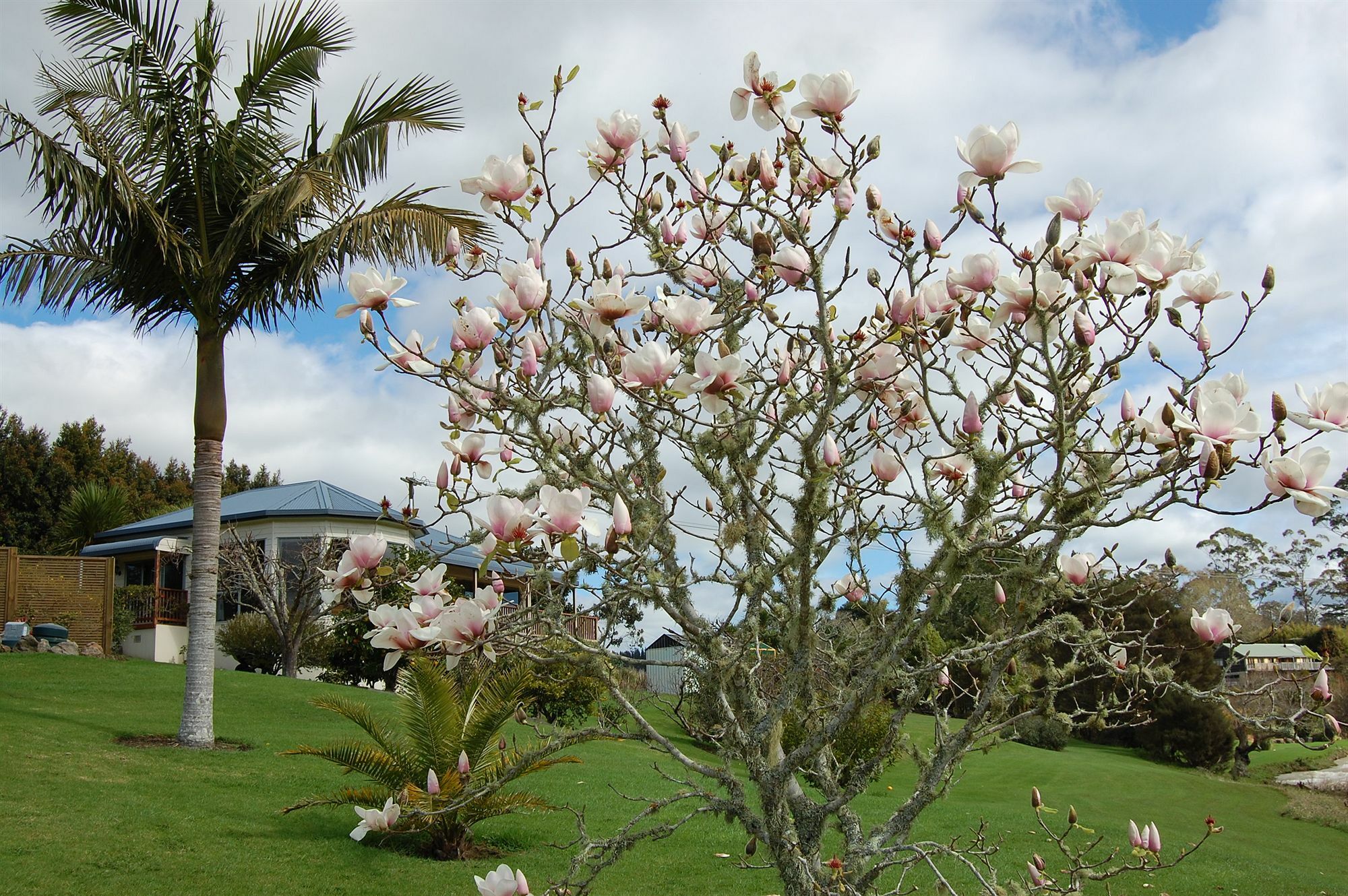 Te Awa Lodge ไปเฮีย ภายนอก รูปภาพ